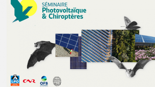 seminaire_photovoltaique_et_chiropteres.png